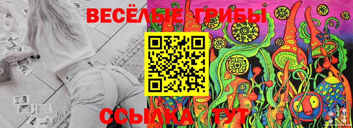 Хасавюрт  Галлюциногенные грибы MAGIC MUSHROOMS  Вход с VPN 